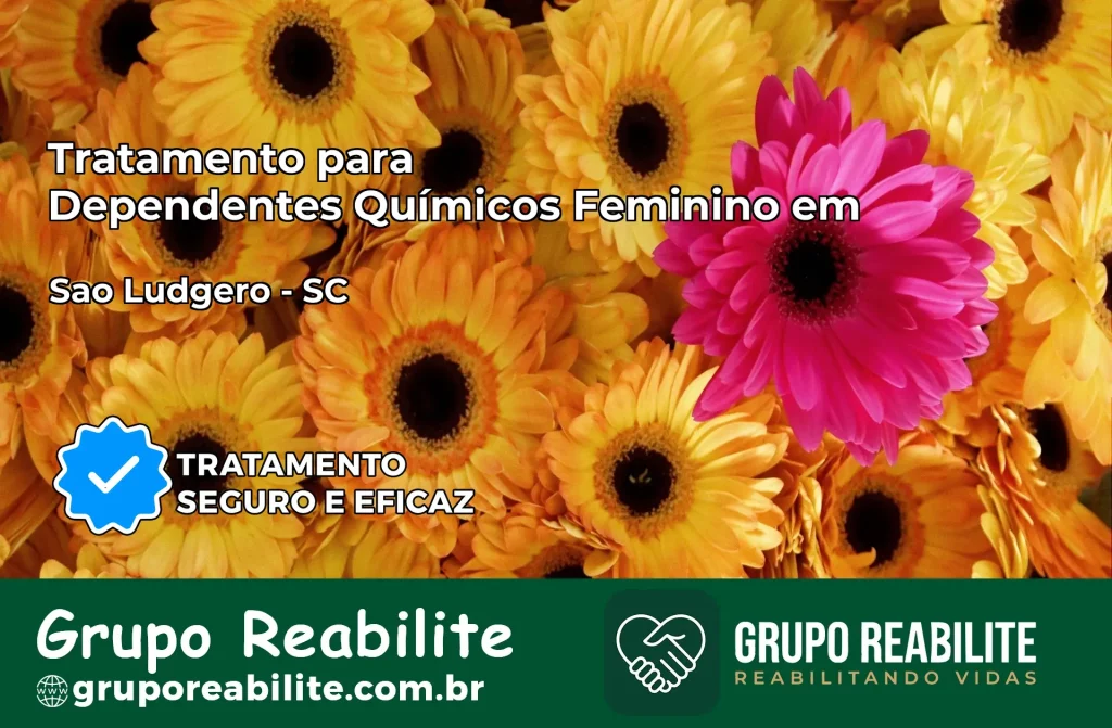 Tratamento para Dependentes Químicos Feminino em São Ludgero – SC
