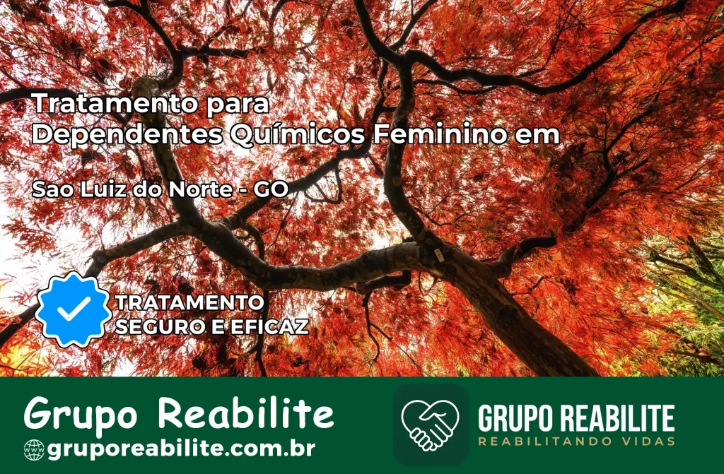Tratamento para Dependentes Químicos Feminino em São Luiz do Norte – GO