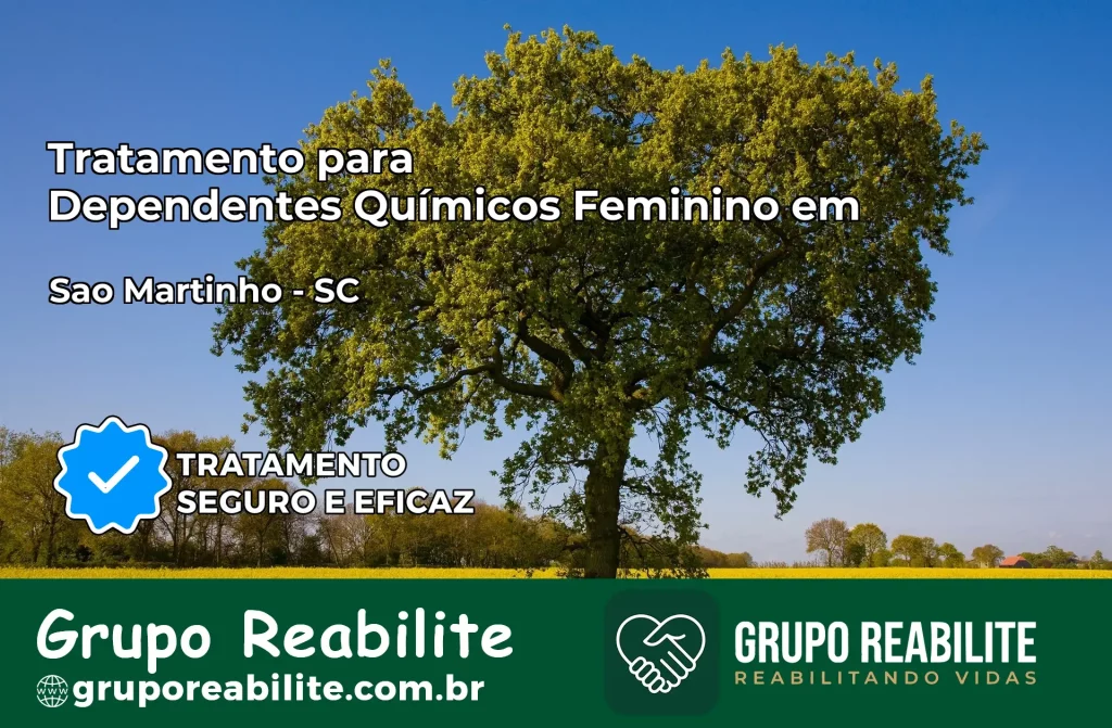 Tratamento para Dependentes Químicos Feminino em São Martinho – SC