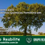 Tratamento para Dependentes Químicos Feminino em São Martinho – SC