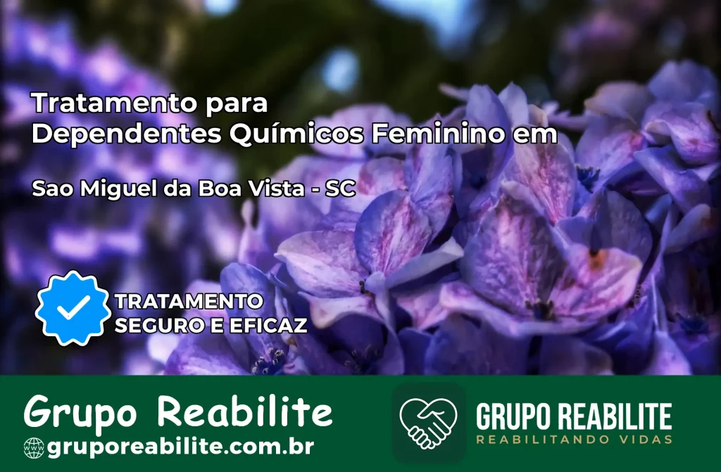 Tratamento para Dependentes Químicos Feminino em São Miguel da Boa Vista – SC