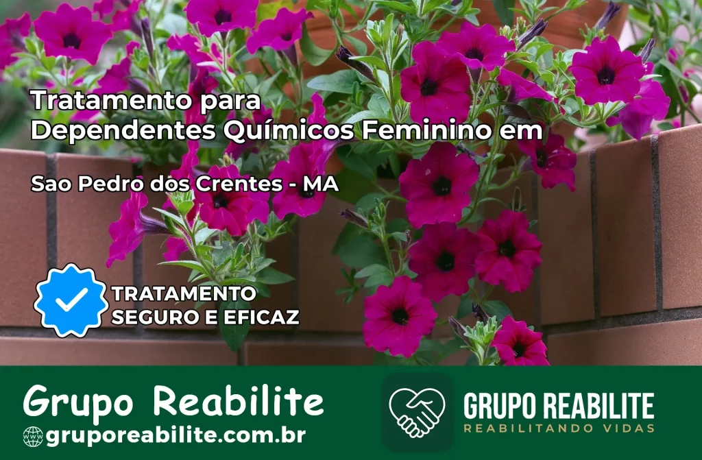 Tratamento para Dependentes Químicos Feminino em São Pedro dos Crentes – MA