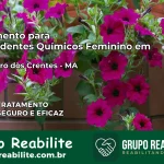 Tratamento para Dependentes Químicos Feminino em São Pedro dos Crentes – MA