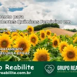 Tratamento para Dependentes Químicos Feminino em São Roberto – MA