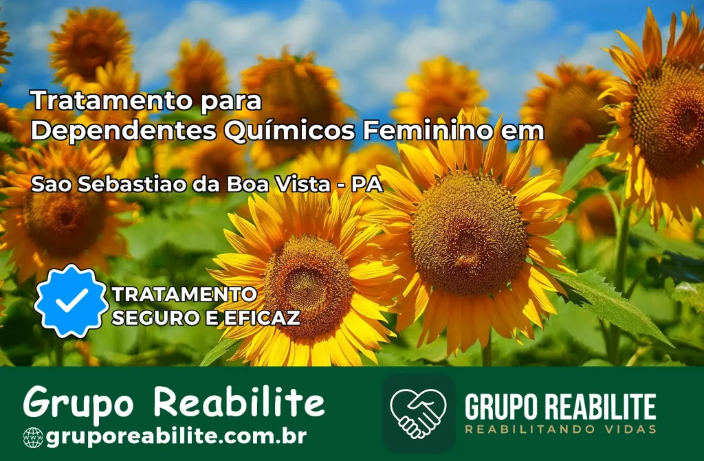 Tratamento para Dependentes Químicos Feminino em São Sebastião da Boa Vista – PA