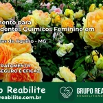 Tratamento para Dependentes Químicos Feminino em São Tomás de Aquino – MG
