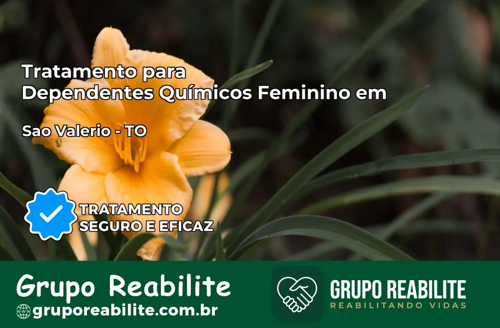 Tratamento para Dependentes Químicos Feminino em São Valério – TO