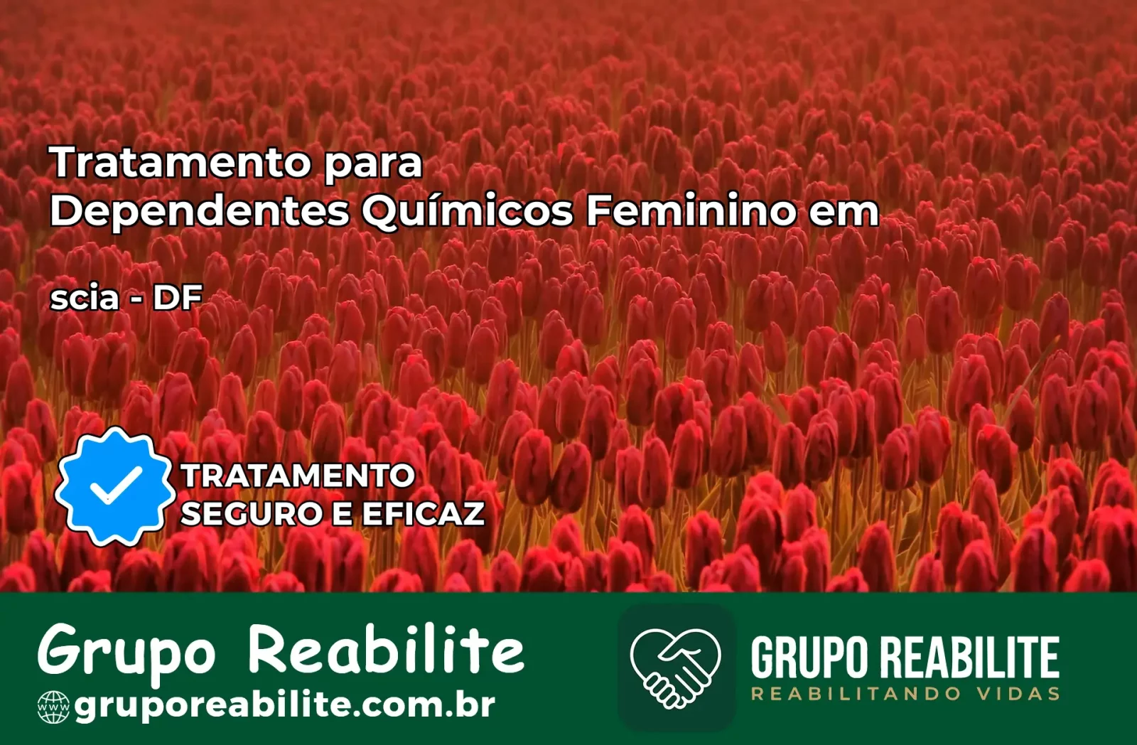 Tratamento para Dependentes Químicos Feminino em scia – DF