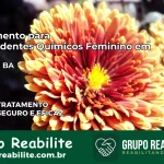 Tratamento para Dependentes Químicos Feminino em Seabra – BA