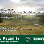 Tratamento para Dependentes Químicos Feminino em Sebastião Laranjeiras – BA