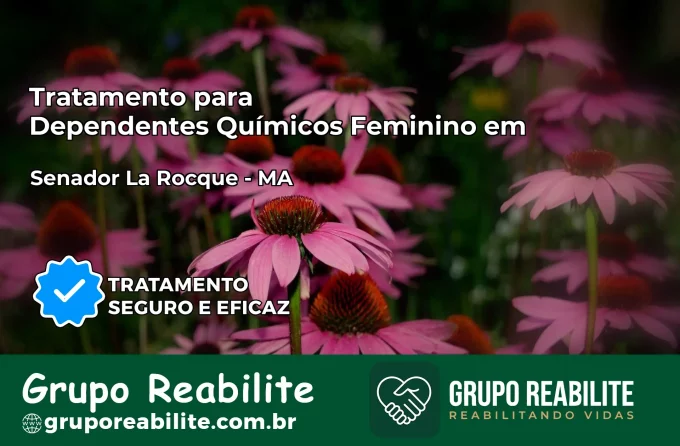 Tratamento para Dependentes Químicos Feminino em Senador La Rocque – MA
