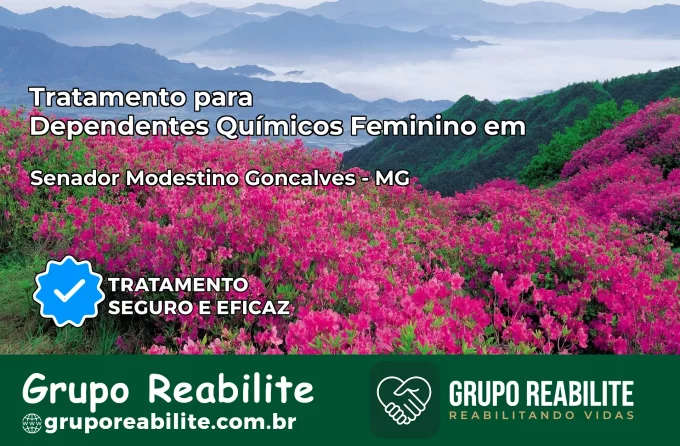 Tratamento para Dependentes Químicos Feminino em Senador Modestino Gonçalves – MG