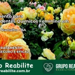 Tratamento para Dependentes Químicos Feminino em Serra do Ramalho – BA