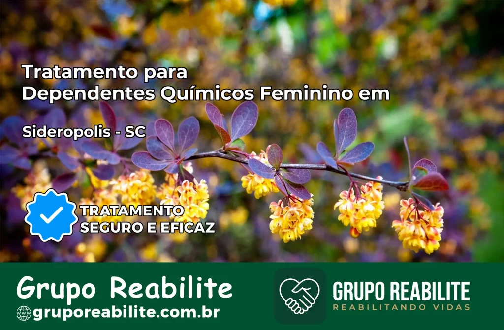 Tratamento para Dependentes Químicos Feminino em Siderópolis – SC