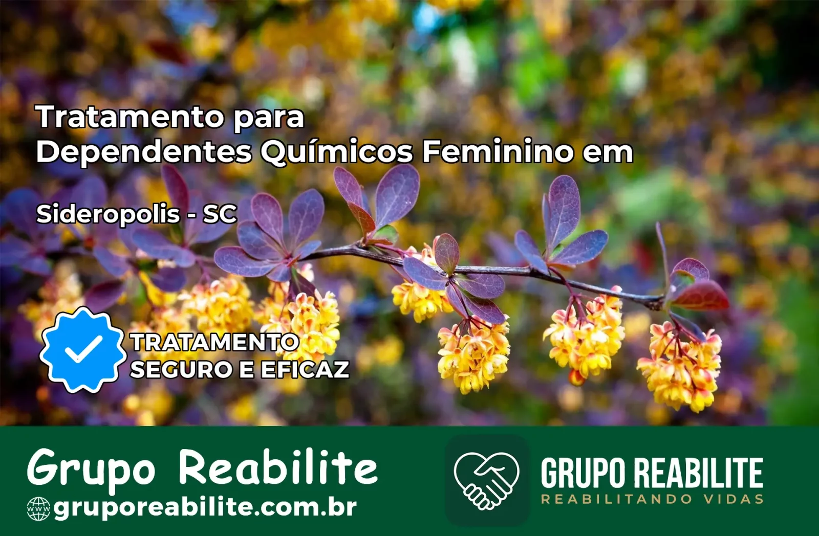 Tratamento para Dependentes Químicos Feminino em Siderópolis – SC