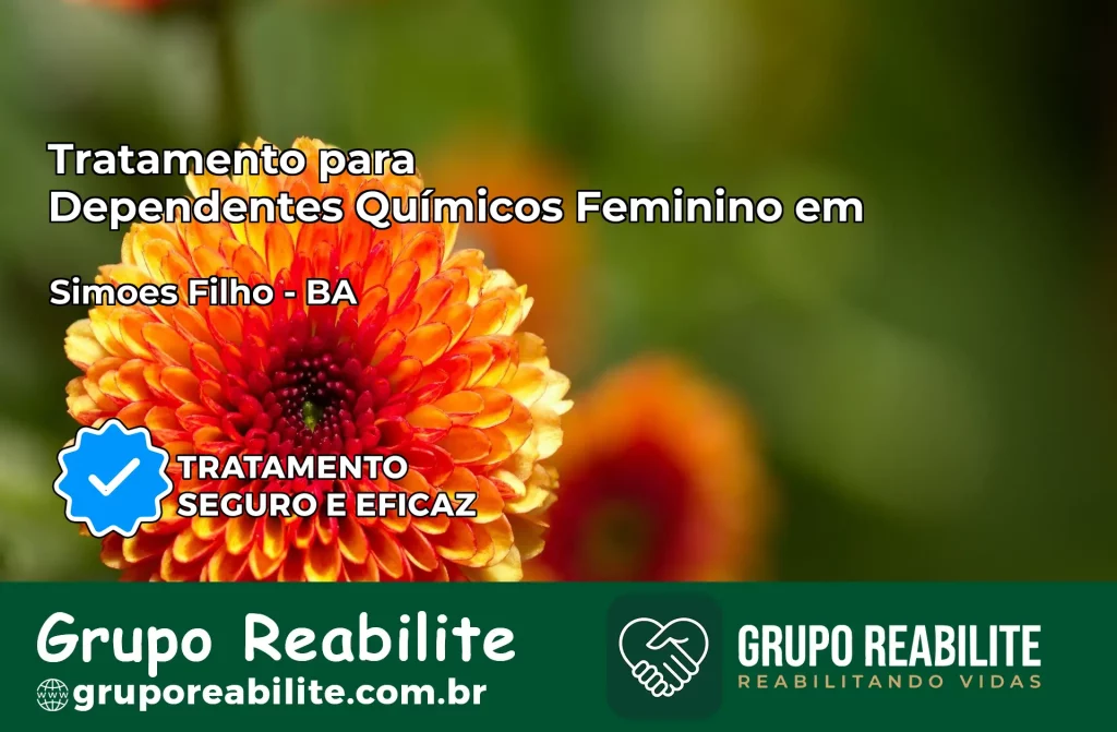 Tratamento para Dependentes Químicos Feminino em Simões Filho – BA