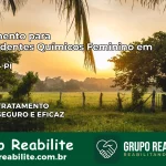 Tratamento para Dependentes Químicos Feminino em Simões – PI