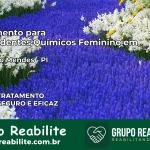 Tratamento para Dependentes Químicos Feminino em Simplício Mendes – PI
