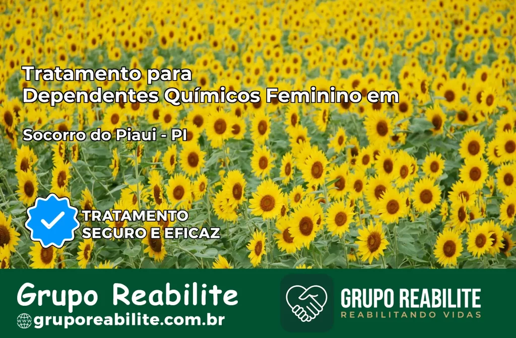 Tratamento para Dependentes Químicos Feminino em Socorro do Piauí – PI