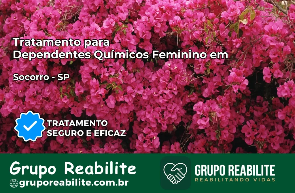 Tratamento para Dependentes Químicos Feminino em Socorro – SP