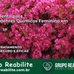 Tratamento para Dependentes Químicos Feminino em Socorro – SP