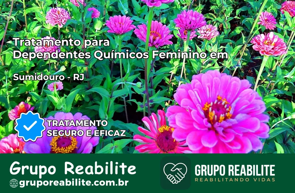 Tratamento para Dependentes Químicos Feminino em Sumidouro – RJ
