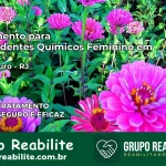 Tratamento para Dependentes Químicos Feminino em Sumidouro – RJ
