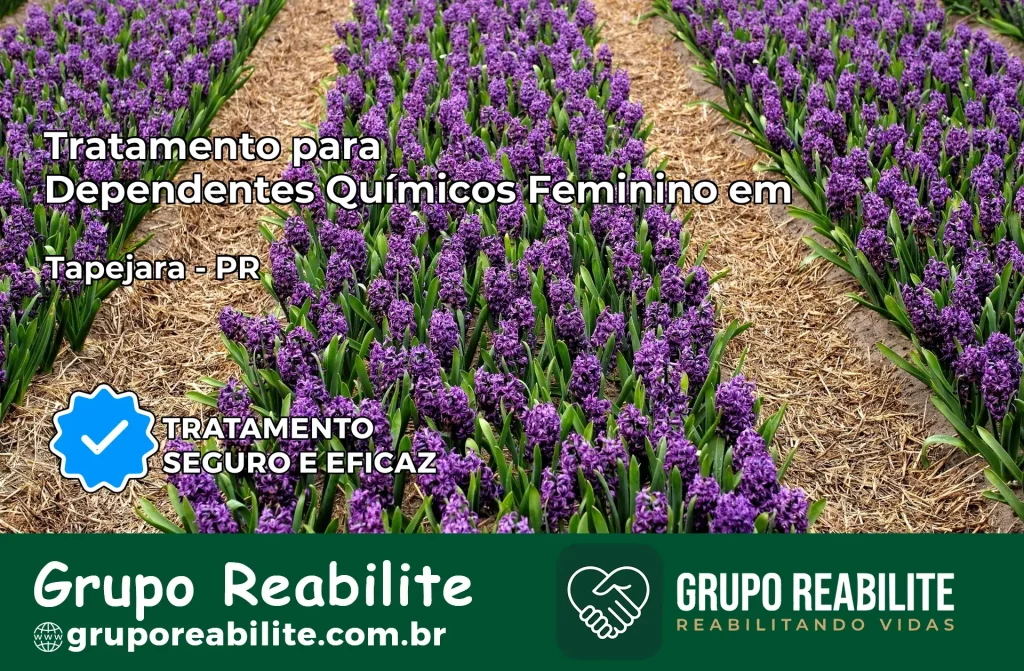 Tratamento para Dependentes Químicos Feminino em São Sebastião da Amoreira – PR