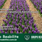 Tratamento para Dependentes Químicos Feminino em São Sebastião da Amoreira – PR