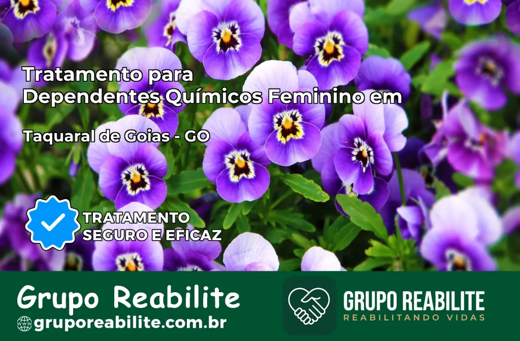Tratamento para Dependentes Químicos Feminino em Taquaral de Goiás – GO