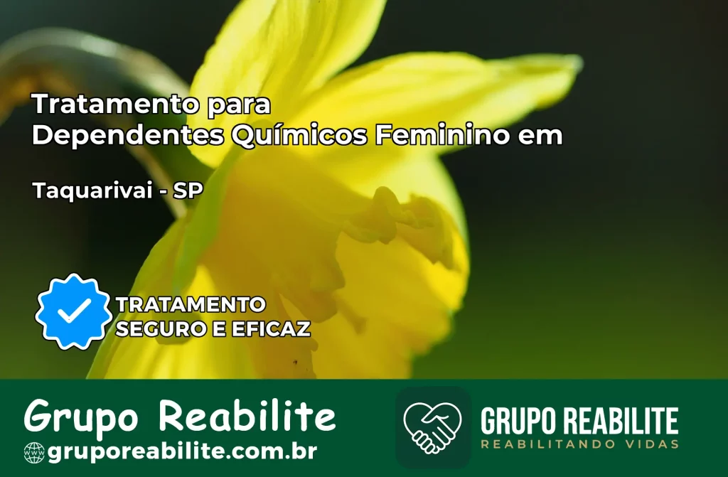 Tratamento para Dependentes Químicos Feminino em Taquarivaí – SP