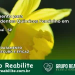 Tratamento para Dependentes Químicos Feminino em Taquarivaí – SP