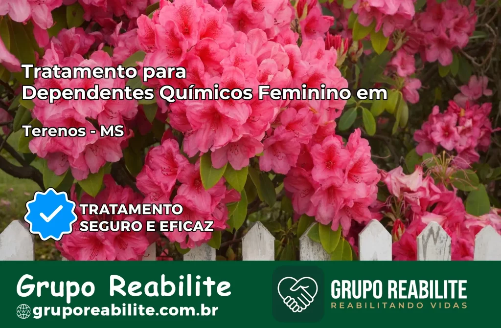 Tratamento para Dependentes Químicos Feminino em Terenos – MS