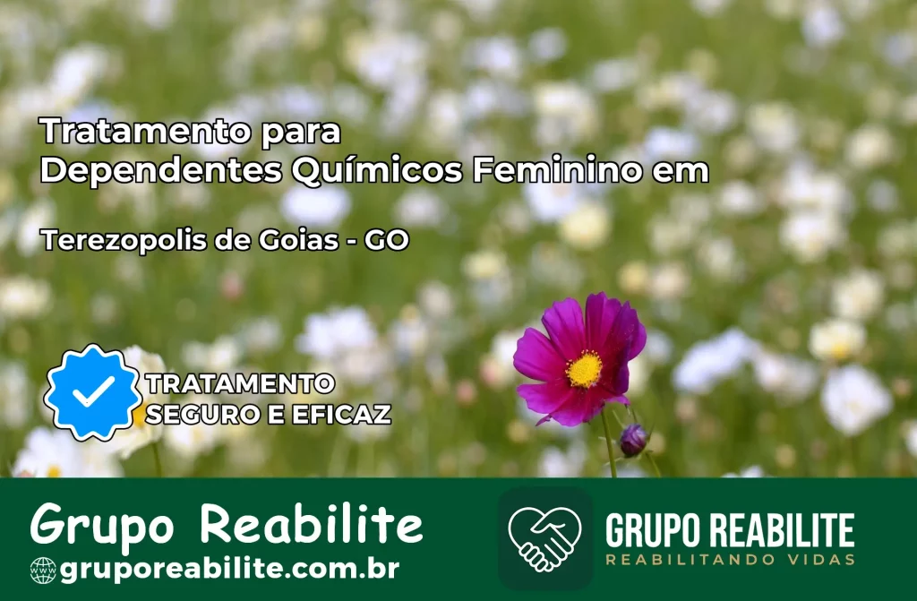 Tratamento para Dependentes Químicos Feminino em Terezópolis de Goiás – GO