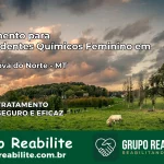 Tratamento para Dependentes Químicos Feminino em Terra Nova do Norte – MT