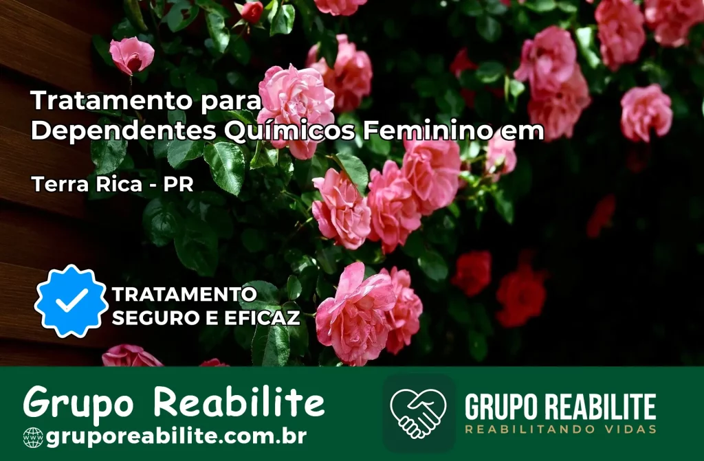 Tratamento para Dependentes Químicos Feminino em Tapira – PR