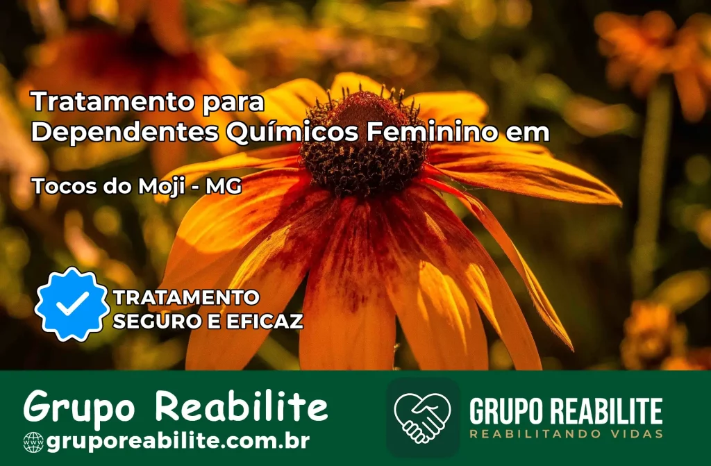 Tratamento para Dependentes Químicos Feminino em Tocos do Moji – MG