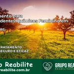 Tratamento para Dependentes Químicos Feminino em Toropi – RS