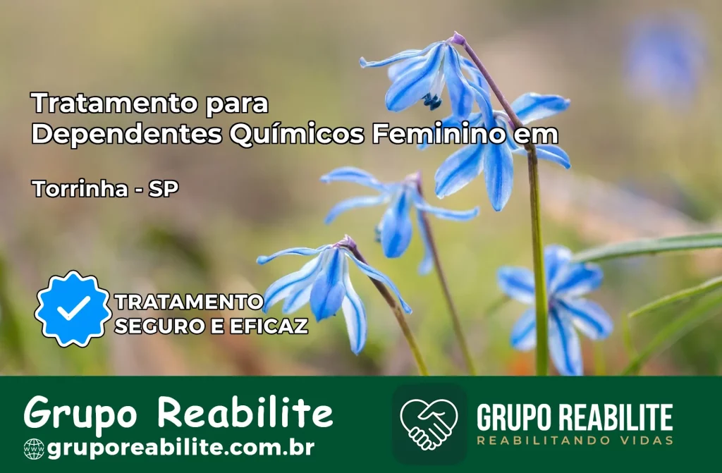 Tratamento para Dependentes Químicos Feminino em Torrinha – SP