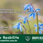 Tratamento para Dependentes Químicos Feminino em Torrinha – SP