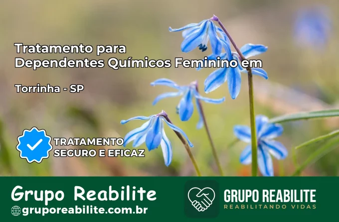 Tratamento para Dependentes Químicos Feminino em Torrinha – SP