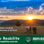 Tratamento para Dependentes Químicos Feminino em Tracuateua – PA