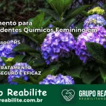 Tratamento para Dependentes Químicos Feminino em Três Passos – RS