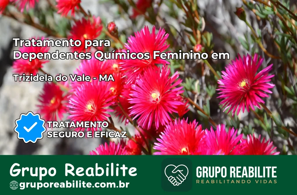 Tratamento para Dependentes Químicos Feminino em Trizidela do Vale – MA