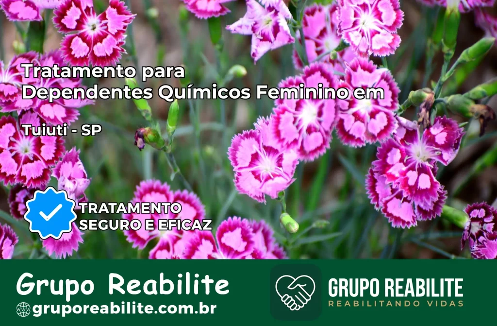 Tratamento para Dependentes Químicos Feminino em Tuiuti – SP