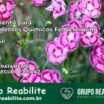 Tratamento para Dependentes Químicos Feminino em Tuiuti – SP