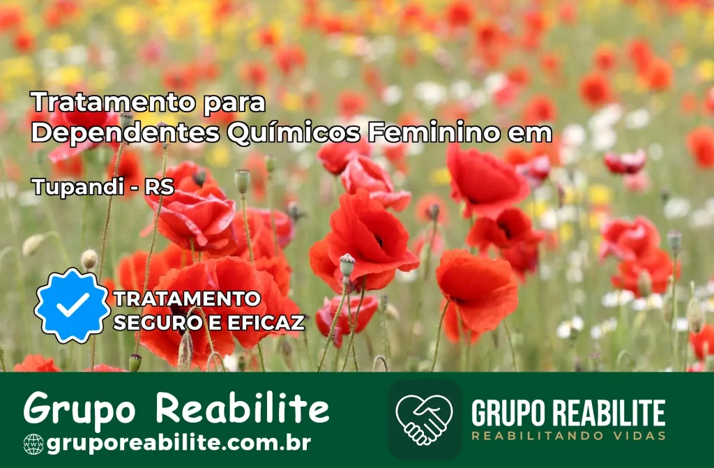 Tratamento para Dependentes Químicos Feminino em Tupandi – RS