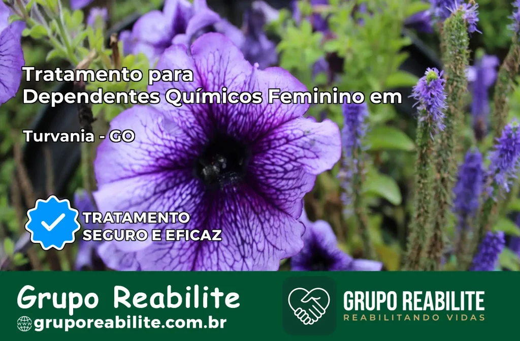 Tratamento para Dependentes Químicos Feminino em Turvânia – GO