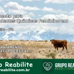 Tratamento para Dependentes Químicos Feminino em Umbuzeiro – PB