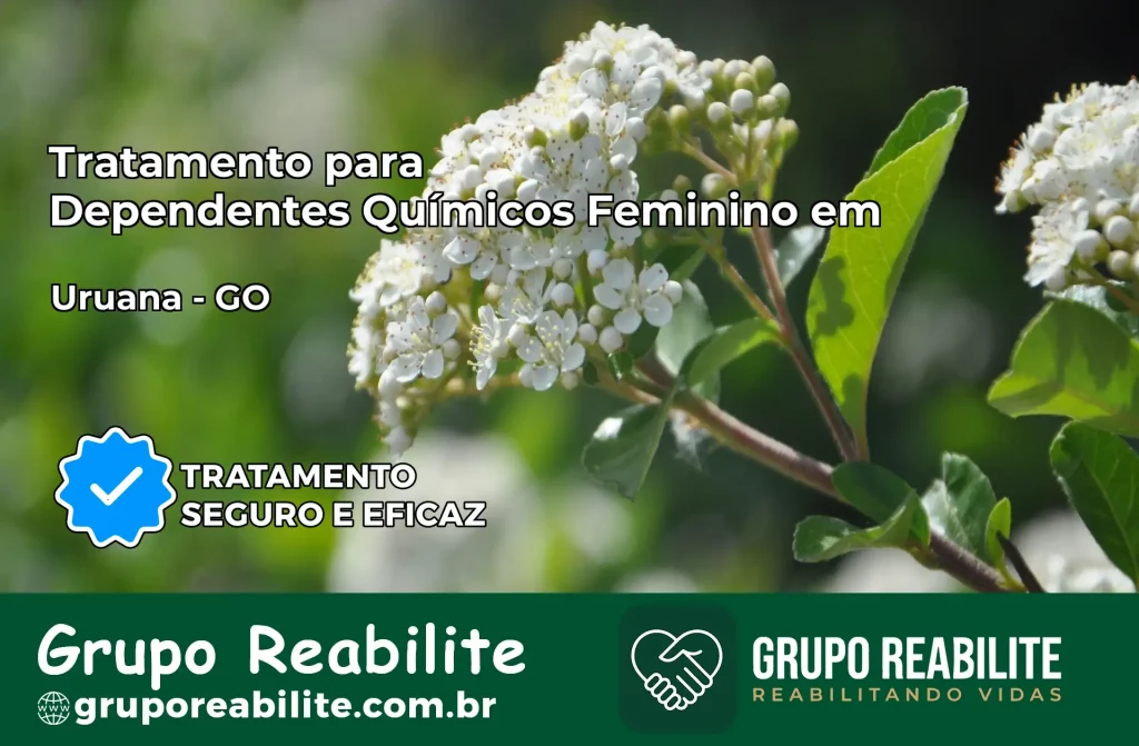 Tratamento para Dependentes Químicos Feminino em Uruana – GO